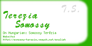 terezia somossy business card